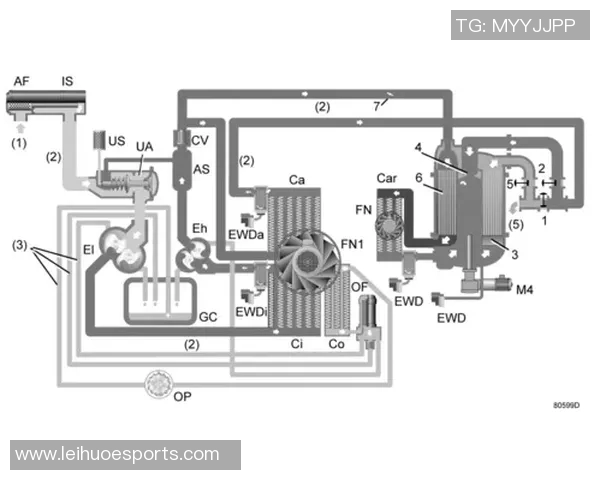蓝十字与阿特拉斯激战回顾赛果分析及未来展望