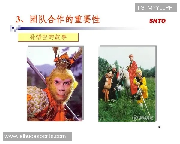 北京乒乓球队精英赛精彩表现分析团队协作的重要性与影响