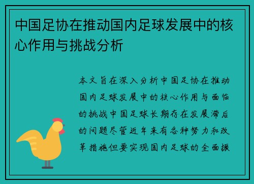 中国足协在推动国内足球发展中的核心作用与挑战分析